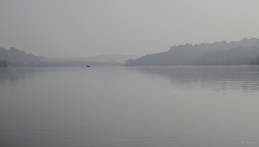 Fog on the lake