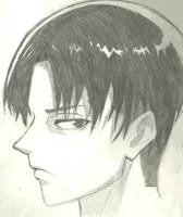 Levi