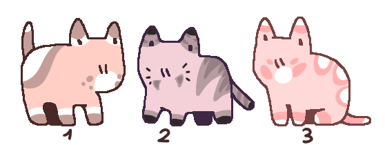 5 Points pink kittens ,  batch adoptables (closed)