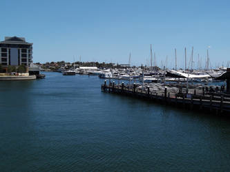 The Marina