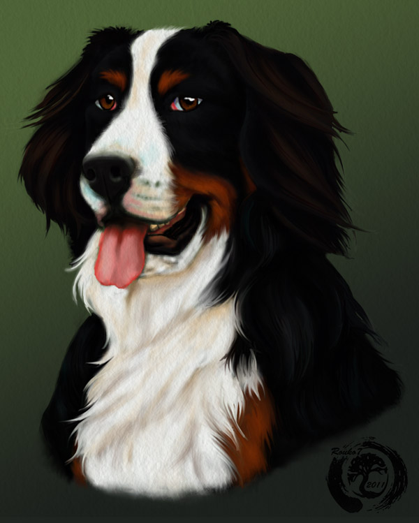 Pet Portrait 1