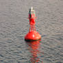 Buoy