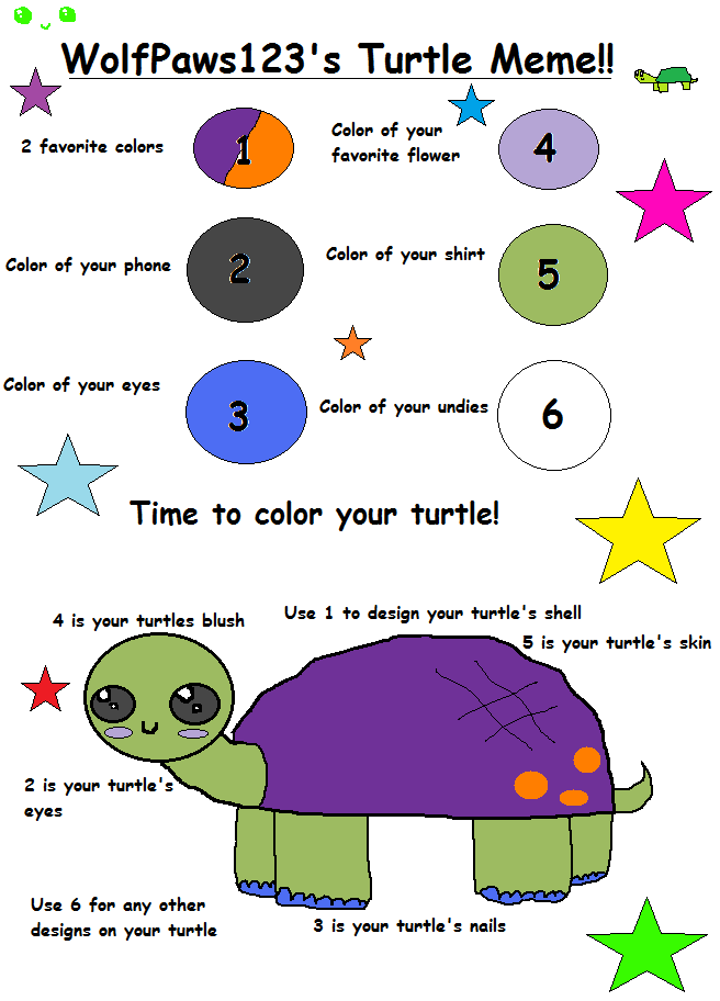 Completed Meme of Turtleness