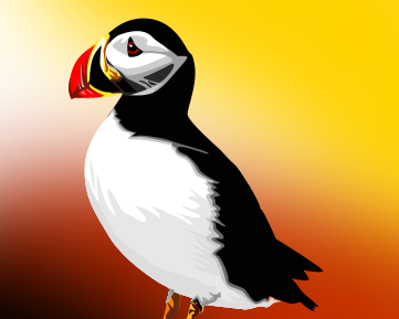 Puffin