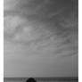 Grey day