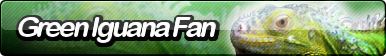 Green Iguana Fan Button (Request)