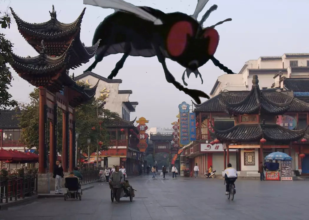 Destroy all Monsters: Giant Fly attacks Nanjing by MonsterIsland1969 on ...