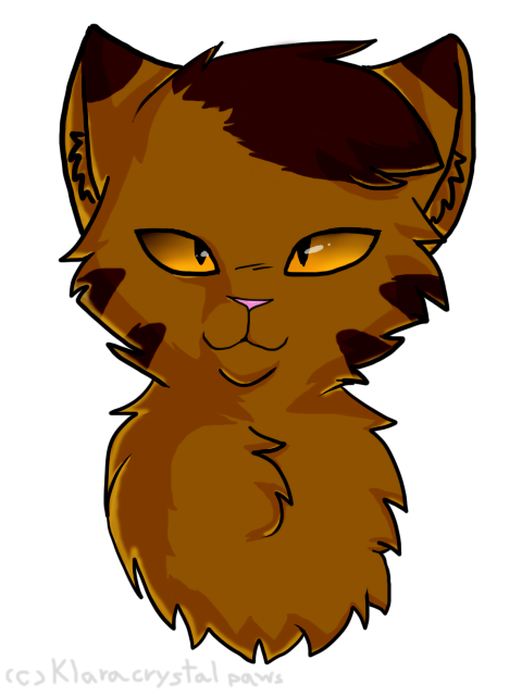 SSS warrior cats dustpaw