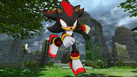 Shadow The Hedgehog Running In Kingdom Valey