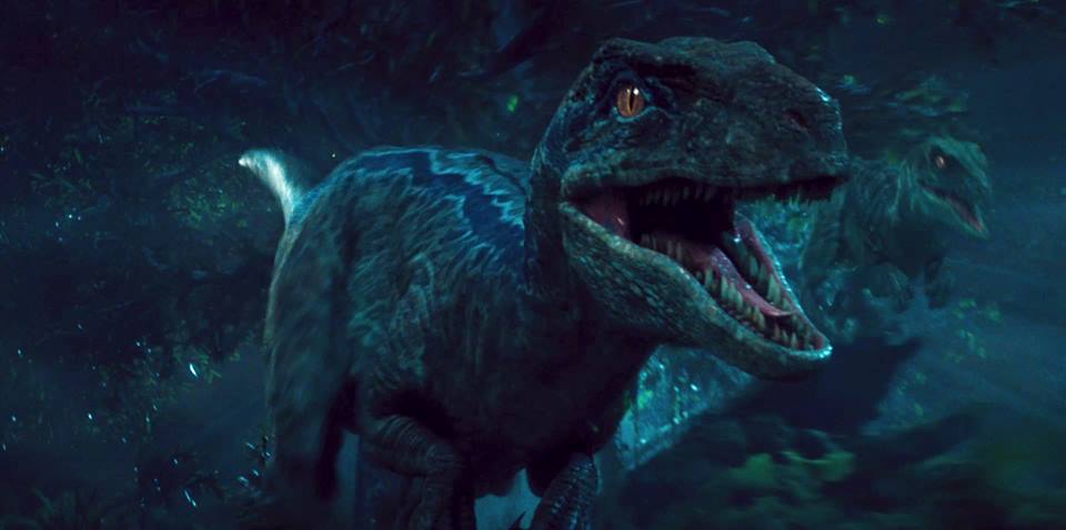 Jurassic World Blue The Raptor By Sonichedgehog2 On Deviantart