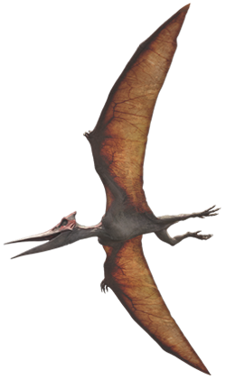 Pterodactyl Transparent Jurassic World - Jurassic World Fallen Kingdom  Pteranodon Transparent PNG - 592x295 - Free Download on NicePNG