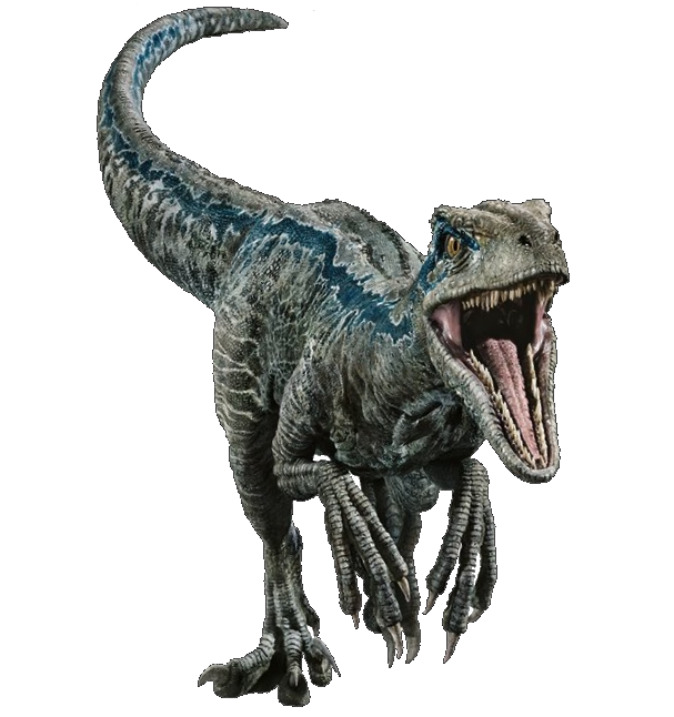 Fallen Kingdom Blue The Velociraptor V2 By Sonichedgehog2 On Deviantart