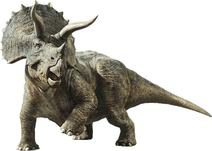 Jurassic World Fallen Kingdom: Triceratops by sonichedgehog2 on DeviantArt
