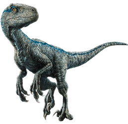 Fallen Kingdom: Blue the Velociraptor V4