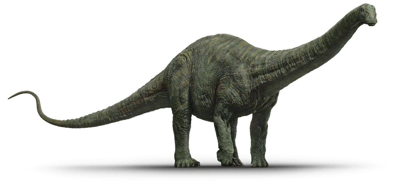 Jurassic World Fallen Kingdom Apatosaurus V2 By Sonichedgehog2 On jurassic-world-fallen-kingdom-apatosaurus-v2-by-sonichedgehog2-on