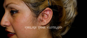 Tragus and Helix Root - WM