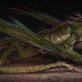 Grass dragon