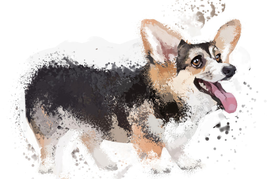 SPINNIN169: Welsh Corgi