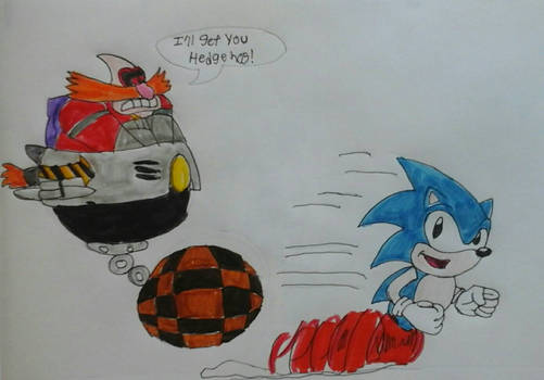 Robotnik Chases Sonic