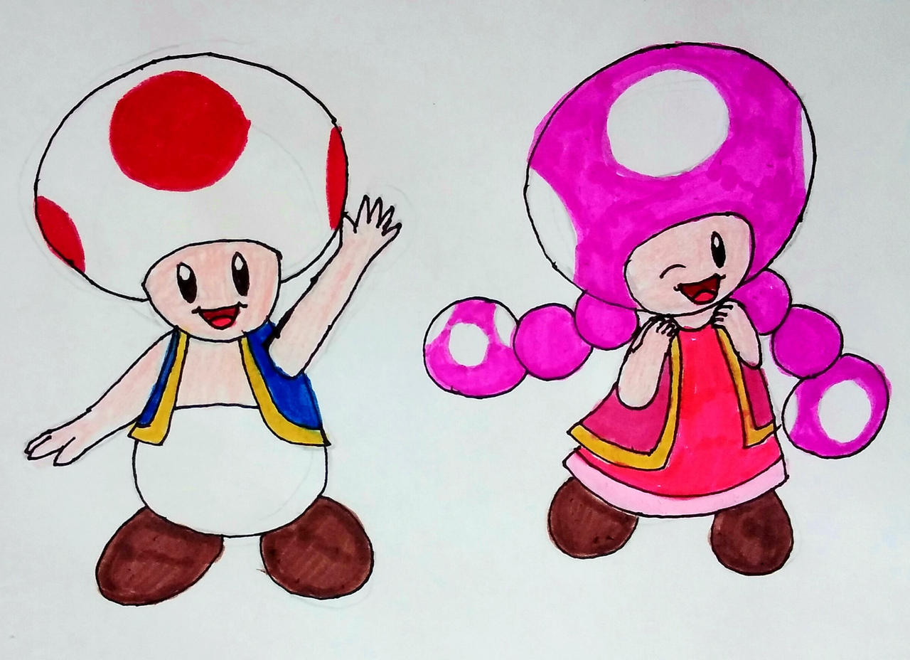 Toad J Toad and Toadette by MavHunterJ17 on DeviantArt