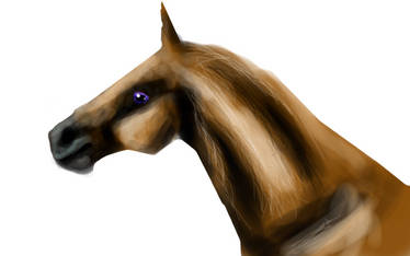 Random Horse Painting...