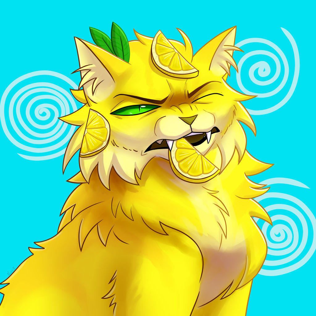 Lemoncat by nixy5 on DeviantArt
