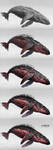 Red Whale Making Of by ArtistMEF