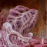 Formations of Unknown Organic Shapes
