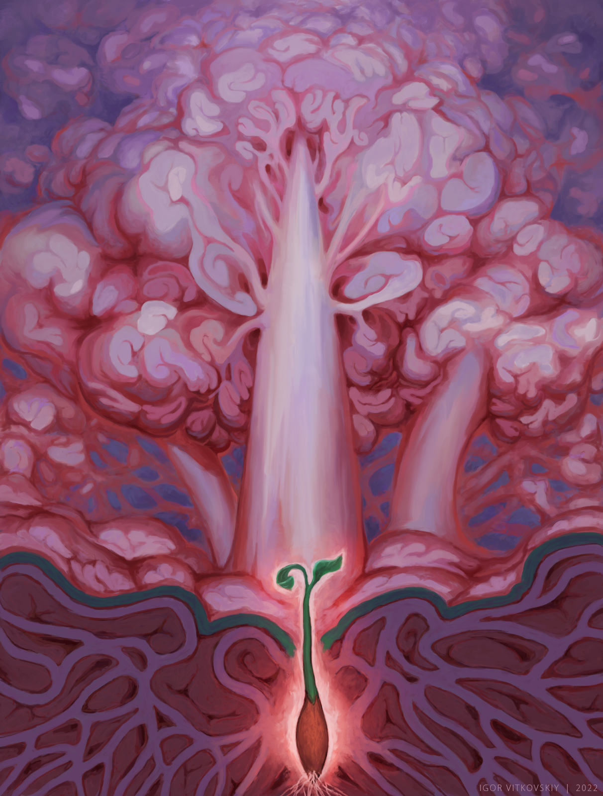 The Seed