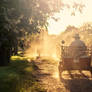 Hungarian farmer going home