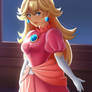 Princess Peach // Super Mario Bros