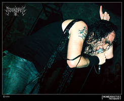 Moonspell V