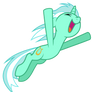 Lyra jumping