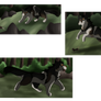 Wolfsnarl hunting