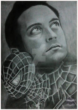Tobey Maguire Spiderman