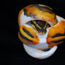 Piebald Ball Python - 1