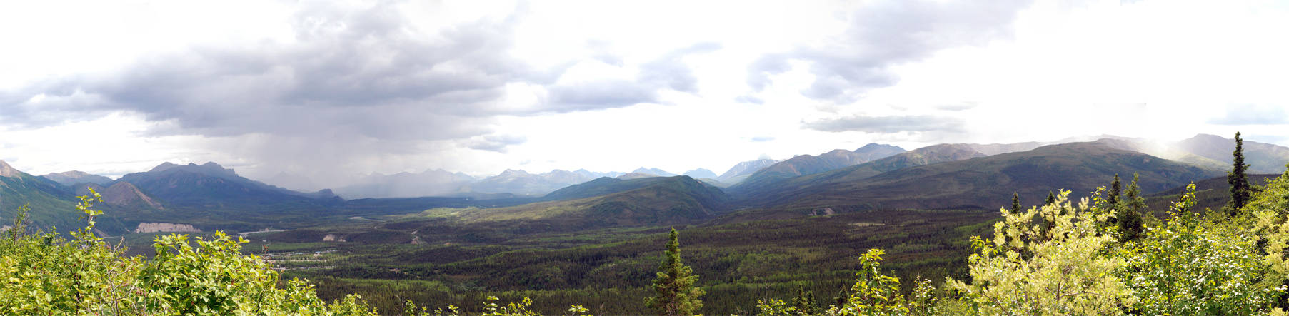 Denali Nat.Park from Mt. Healy