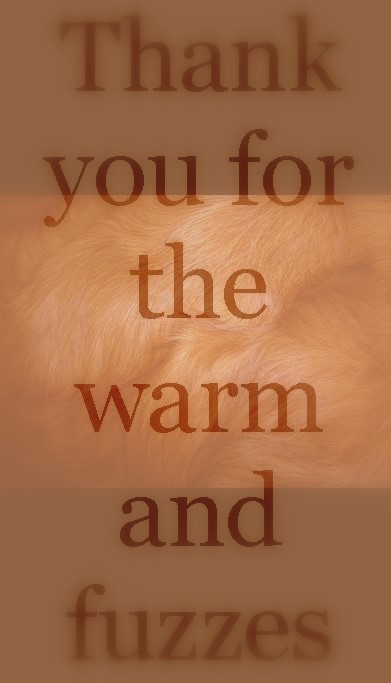 Thank you for saying