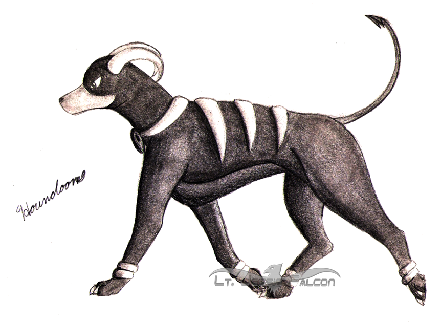 PKMN - Houndoom