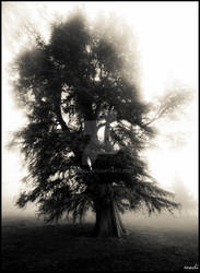 mystic tree 4