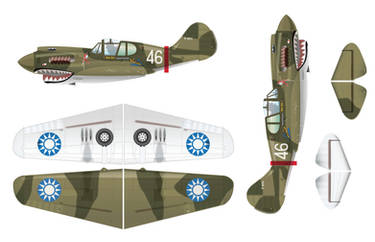 P-40_profile