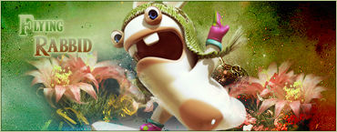 Flying Rabbi Flying Rabbid by Link-25 on DeviantArt