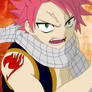 Fairy Tail - Natsu Dragneel