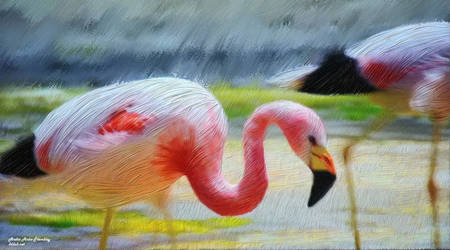Flamingo 1920x1066