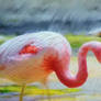 flamingo FHD 3400X1888