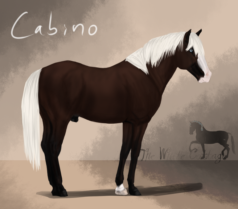 Cabino ref