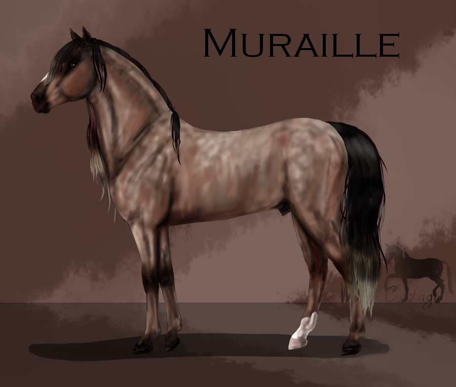 Muraille old