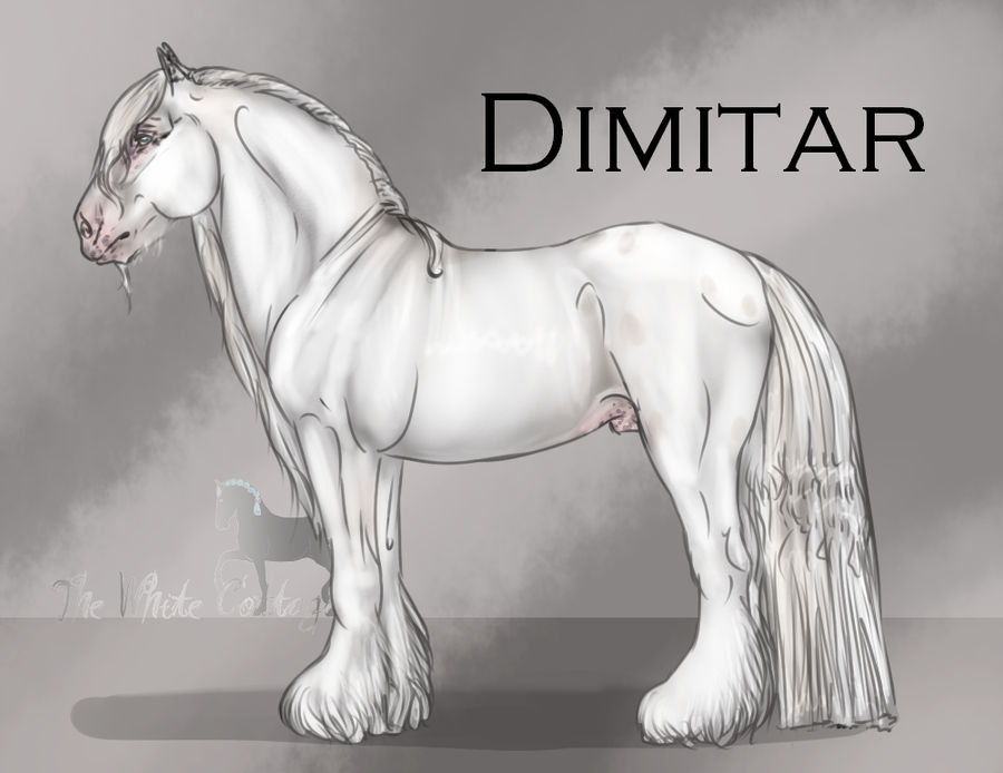 Dimitar