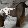 Baroqueur import Schn3e