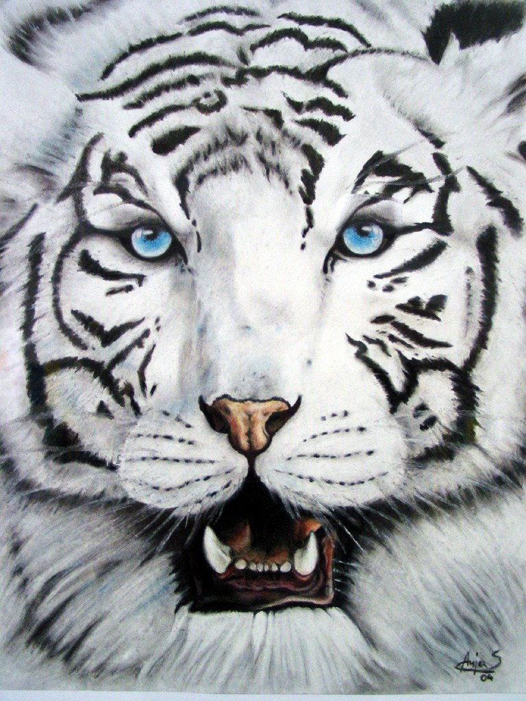 White Tiger by Ognimdo2002 on DeviantArt